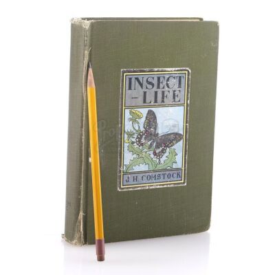 Lot # 20: THE HOUSE WITH A CLOCK IN ITS WALLS - Rose Rita Pottinger (Vanessa Anne Williams) Insect book and Pencil
