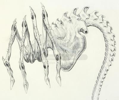 Lot #34 - ALIEN3 (1992) - Hand-Drawn Facehugger Illustration by Alec ...