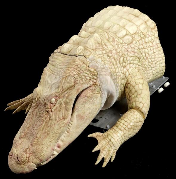 Lot # 3: ANNIHILATION - Half Body Puppet Albino Alligator - Price ...