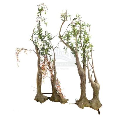 Lot # 20: ANNIHILATION - Two Stand-In Human Shaped Trees